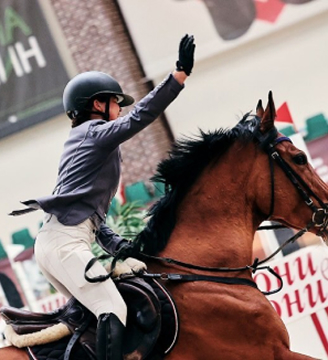 horse