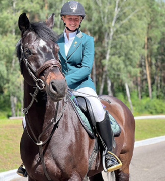 horse