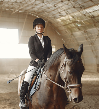 horse